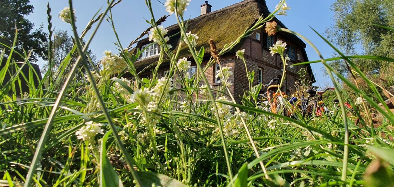 Apartment Kliemkiker, Naehe Binz In Traumhafter Alleinlage Zirkow 外观 照片
